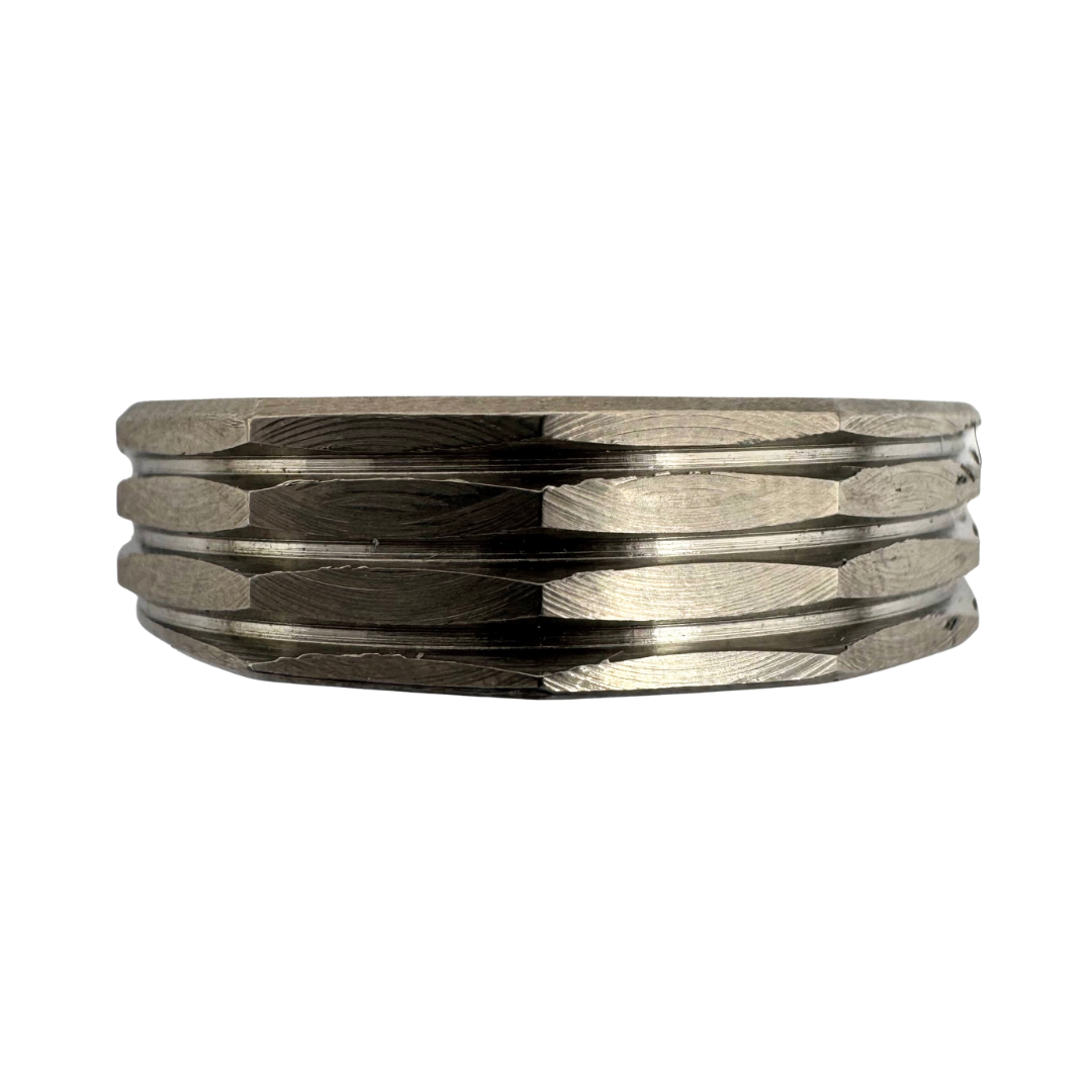 Titanium faceted ring
