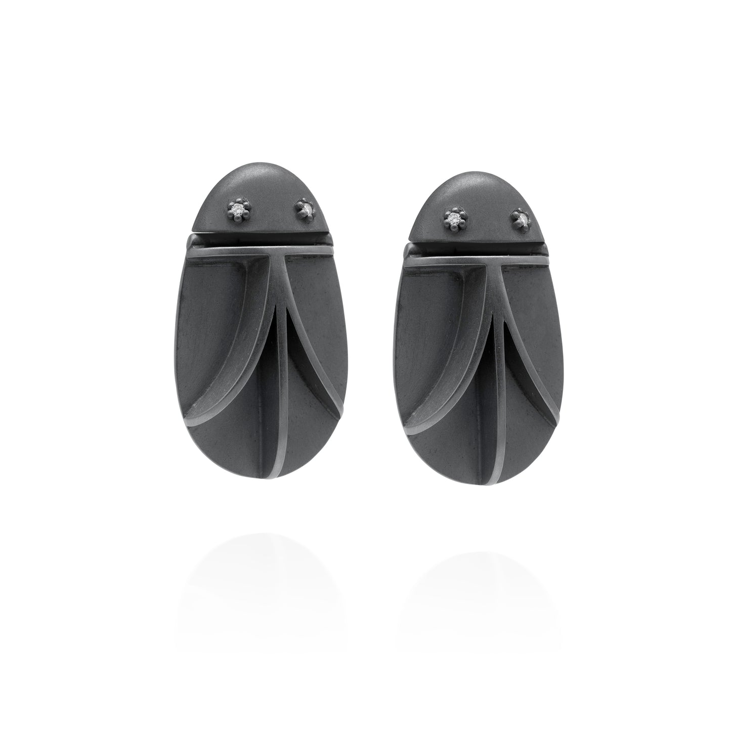 Periplaneta Americana