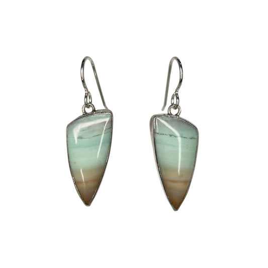 Opalized Wood Dangle Earrings with Conch on the Backs