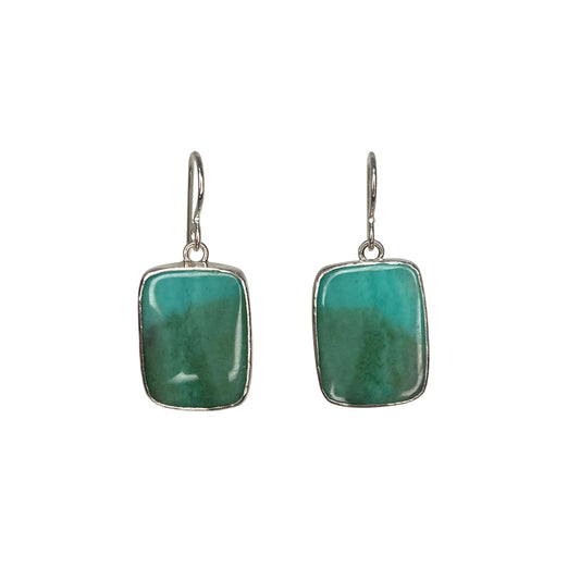 Opalized Wood Dangle Earrings with Palm Tree on the Back