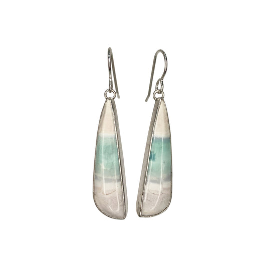 Opalized Wood Dangle Earrings with Clam Shell on the Back