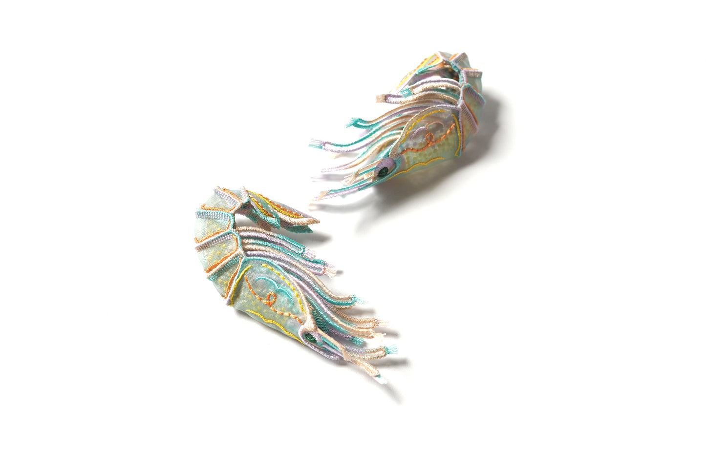 Shrimps / aqua