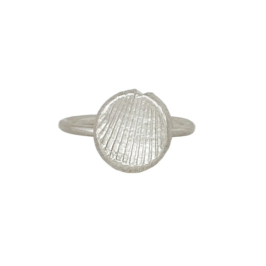 Shell Impression Rings