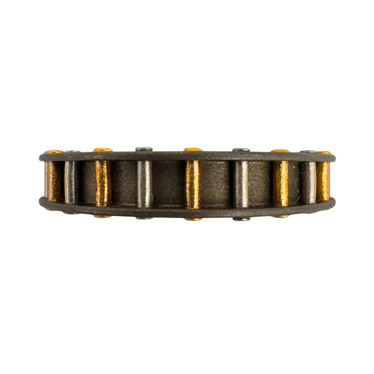 Titanium band with platinum and 24K gold rivets