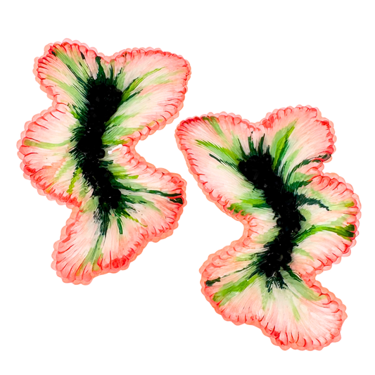 Nudis (Green-white-orange)