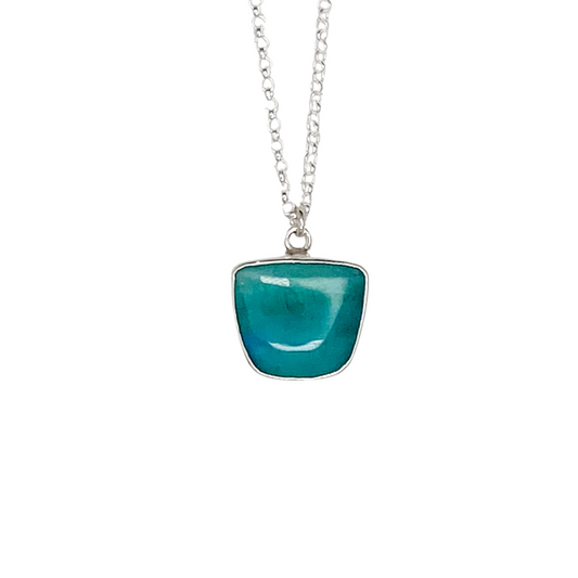 Opalized Wood Pendant with Fish