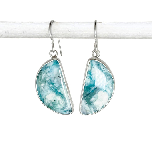 Opalized Wood Dangle Earrings with Whales