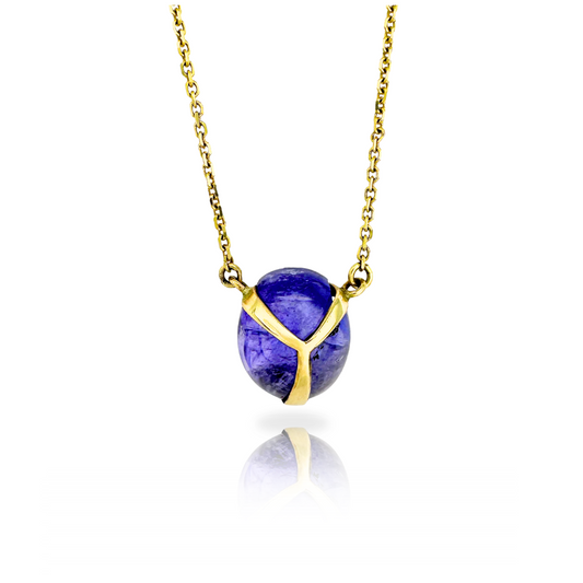 Lucky Scarab Pendant in 14k Gold and Tanzanite