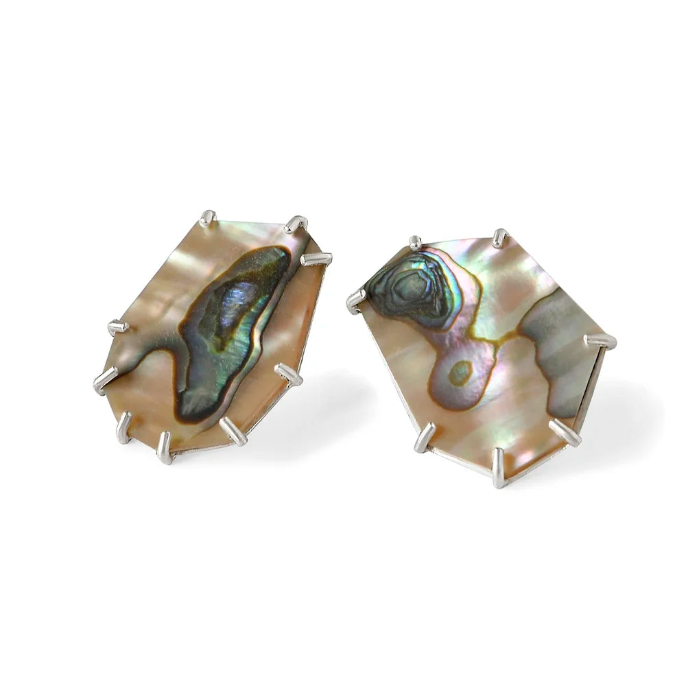 Large Mexico Green Abalone Posts